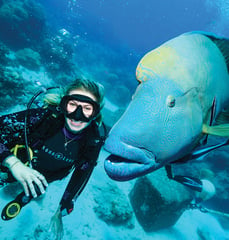 scuba-diving-with-fish